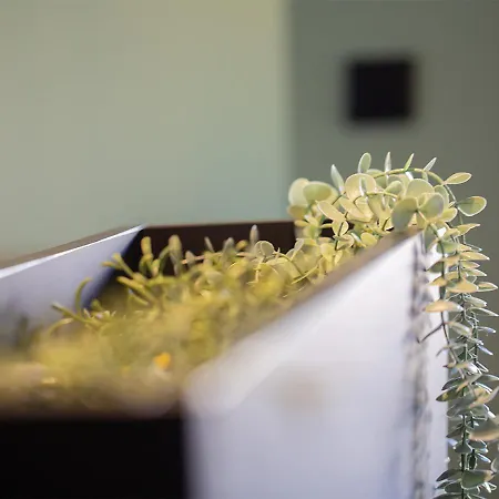 Thyrso Village Villa *