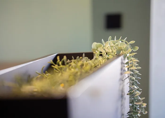 Thyrso Village Vila *