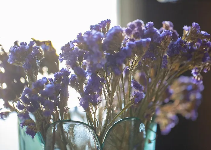 Thyrso Village * Santo Tirso